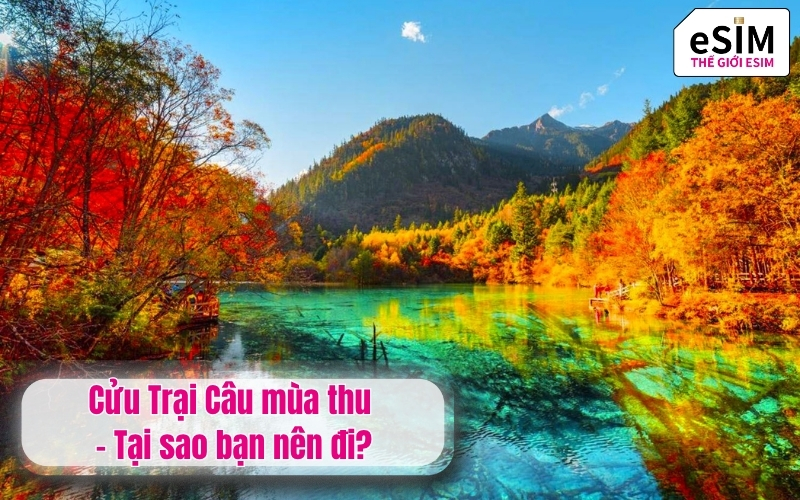 Cửu Trại Câu mùa thu - Tại sao bạn nên đi?